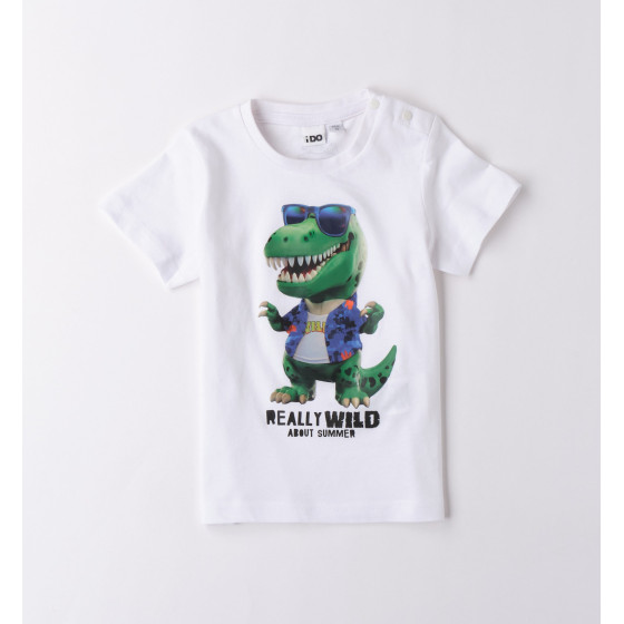 Camiseta