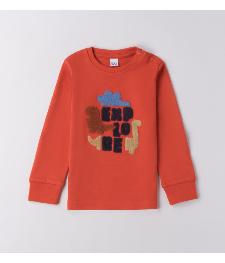 Camiseta manga longa